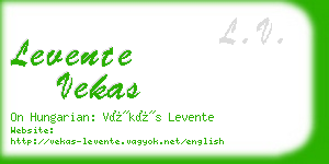 levente vekas business card